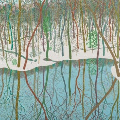 Winter Pond Wyatt Mt, February, Landscape, Snowy Woods, Water, Trees, White Snow