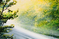 "Morning Fog, " Original Oil on Panel Landscape with Horse by Gregory Steele