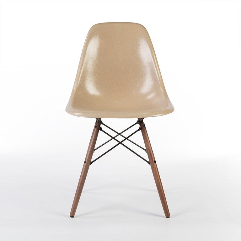 This is a used, original Greige Herman Miller Eames DSW dining chair, attached to a brand-new walnut wood dowel base. Due to its vintage qualities, there are some scratches on the surface, with a few white marks which are barely visible. Despite the