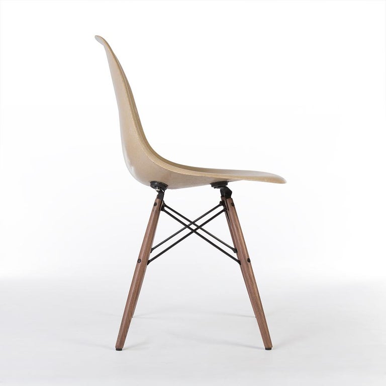 Mid-Century Modern Greige Herman Miller Eames DSW Side Shell Chair For Sale