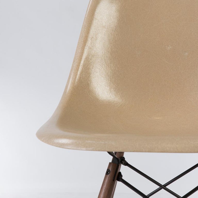 20th Century Greige Herman Miller Eames DSW Side Shell Chair For Sale