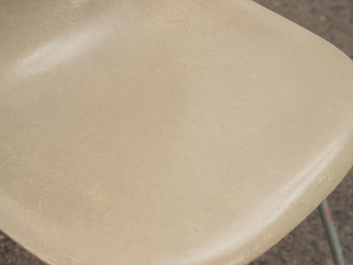 Greige Light Grey Eames for Herman Miller Vintage 1960s Fiberglass Shell Chairs For Sale 2