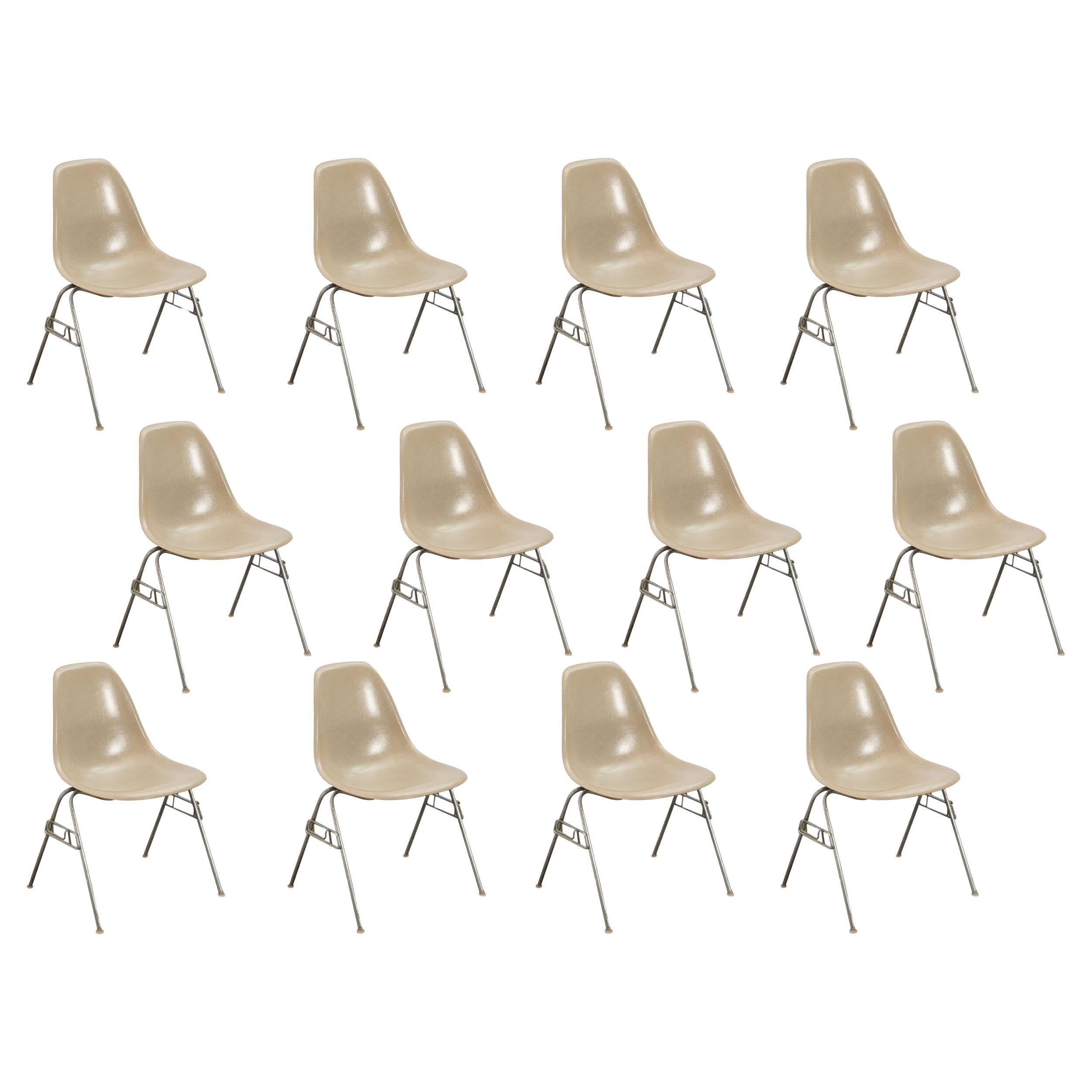 Greige Light Grey Eames for Herman Miller Vintage 1960s Fiberglass Shell Chairs