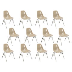 Eames für Herman Miller: Vintage 1960er Jahre Muschelstühle aus Fiberglas in Grau und Hellgrau, Eames