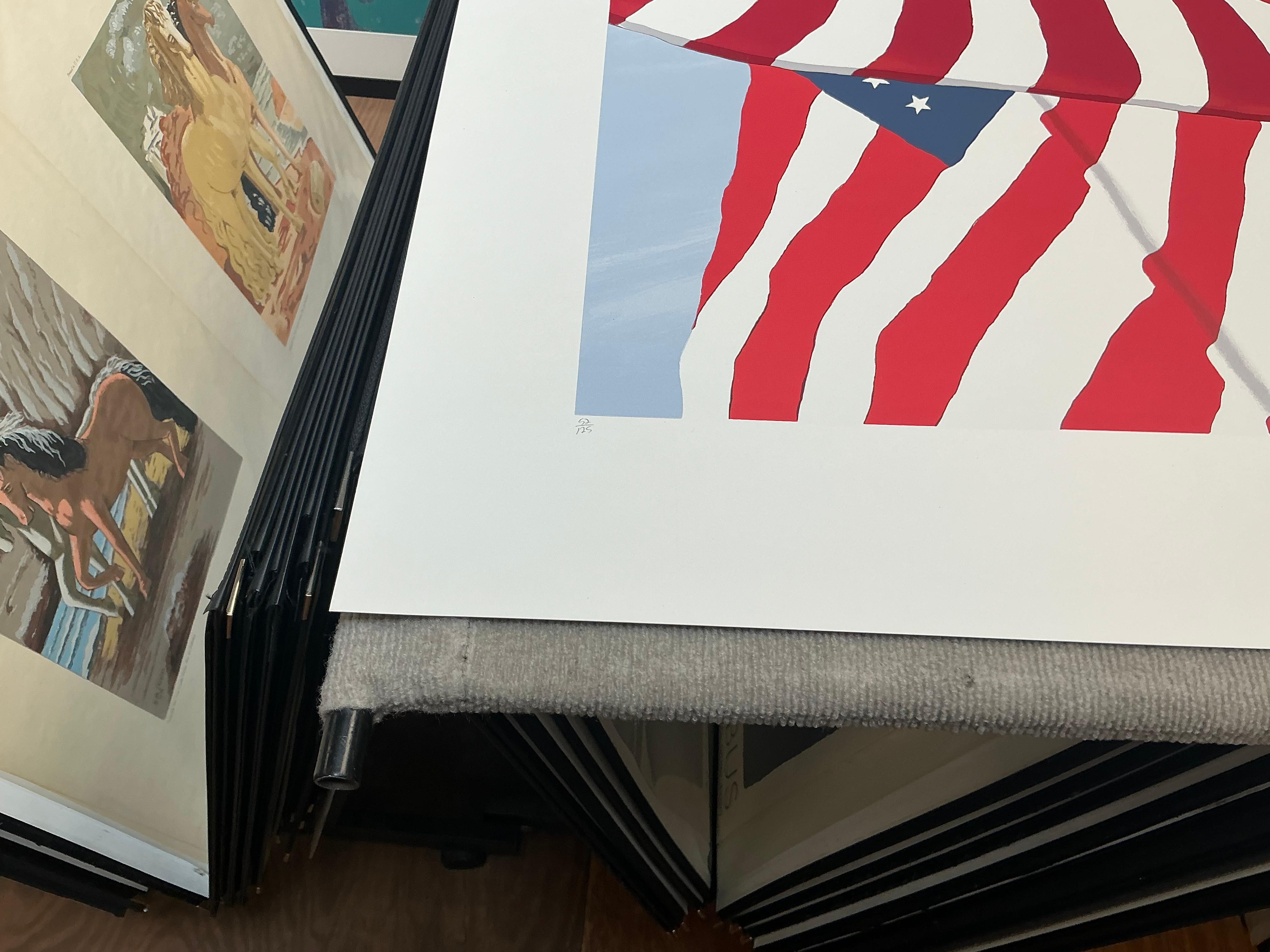 1991 Gretchen Dow Simpson 'Flags' USA Serigrafia firmata a mano in vendita 13