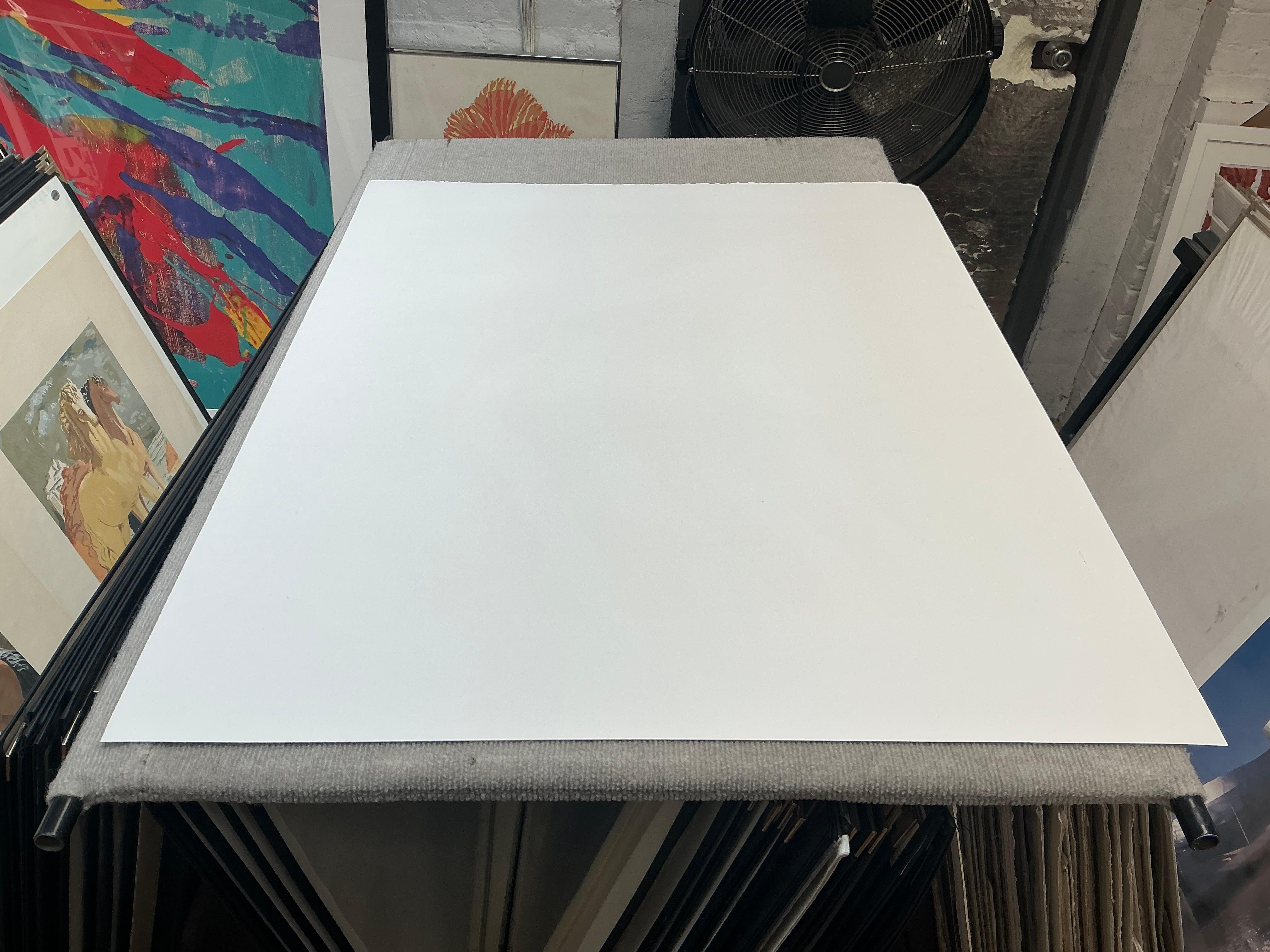 1991 Gretchen Dow Simpson 'Flags' USA Serigrafia firmata a mano in vendita 18