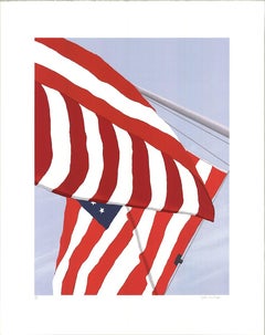 1991 Gretchen Dow Simpson 'Flags' USA Serigraph HAND SIGNED