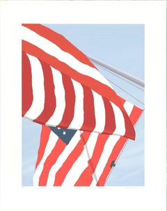 Gretchen Dow Simpson 'Flags' 1991- Signed