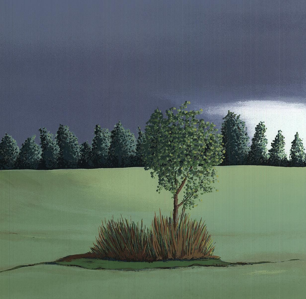 GRETCHEN DOW SIMPSON Waverly, Pennsylvanie, 1991 - Signé en vente 2