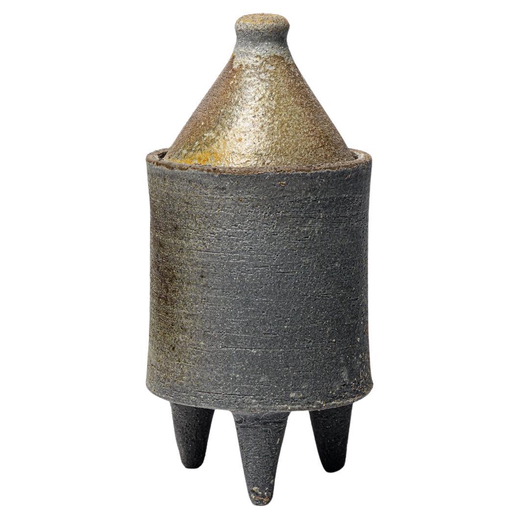 grey and brown stoneware woodfiring ceramic boxe by B. Chassang unique piece