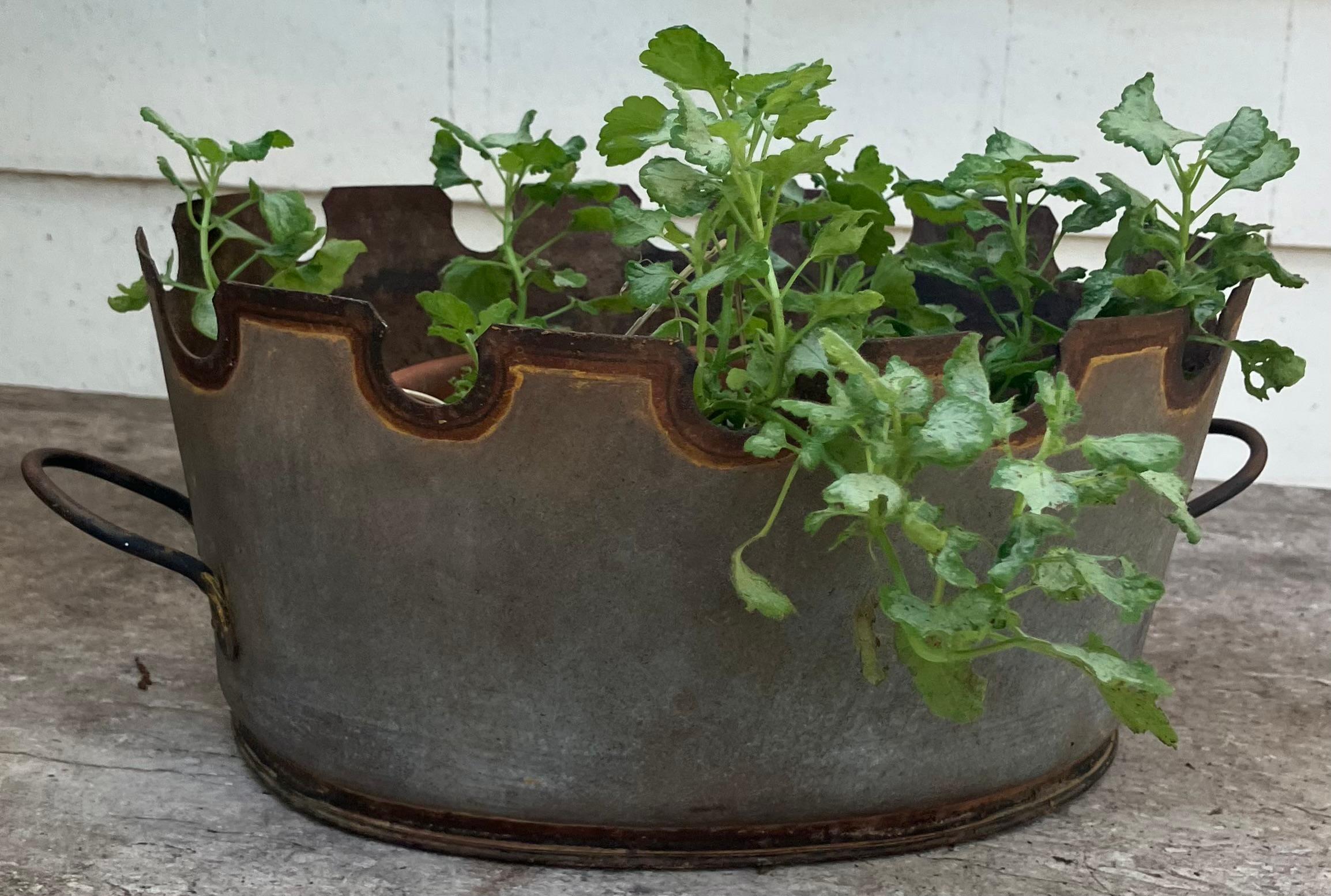 Grey and Gilt Montieth Jardiniere Cachepot. Antique grey metal tole verrier cachepot with gold painted banding. Continental, mid 19th century. 

Dimensions: 12” W handle to handle; 10.25