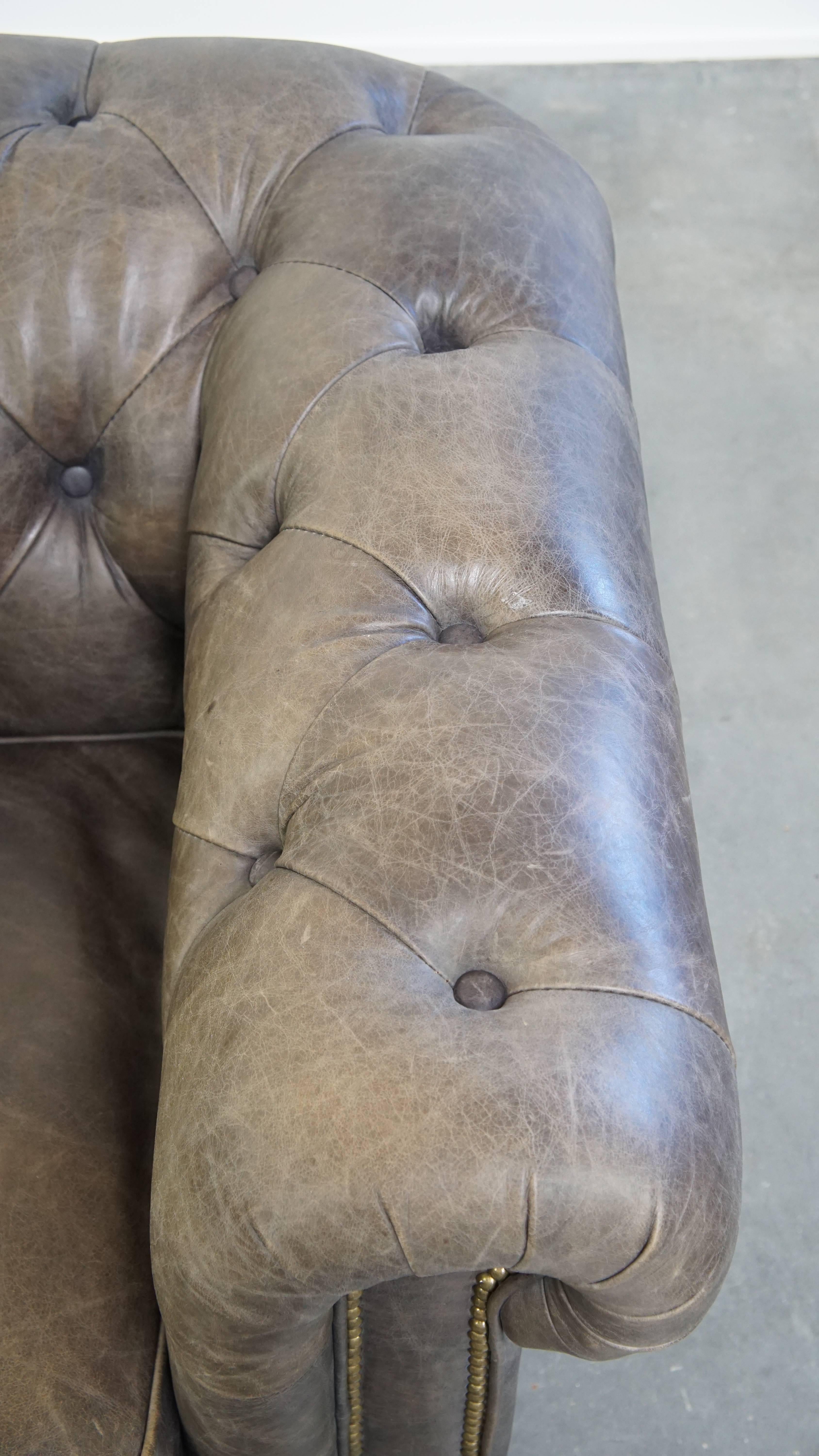 Grauer Chesterfield-Clubsessel aus Rindsleder im englischen Stil auf Rollen im Angebot 2