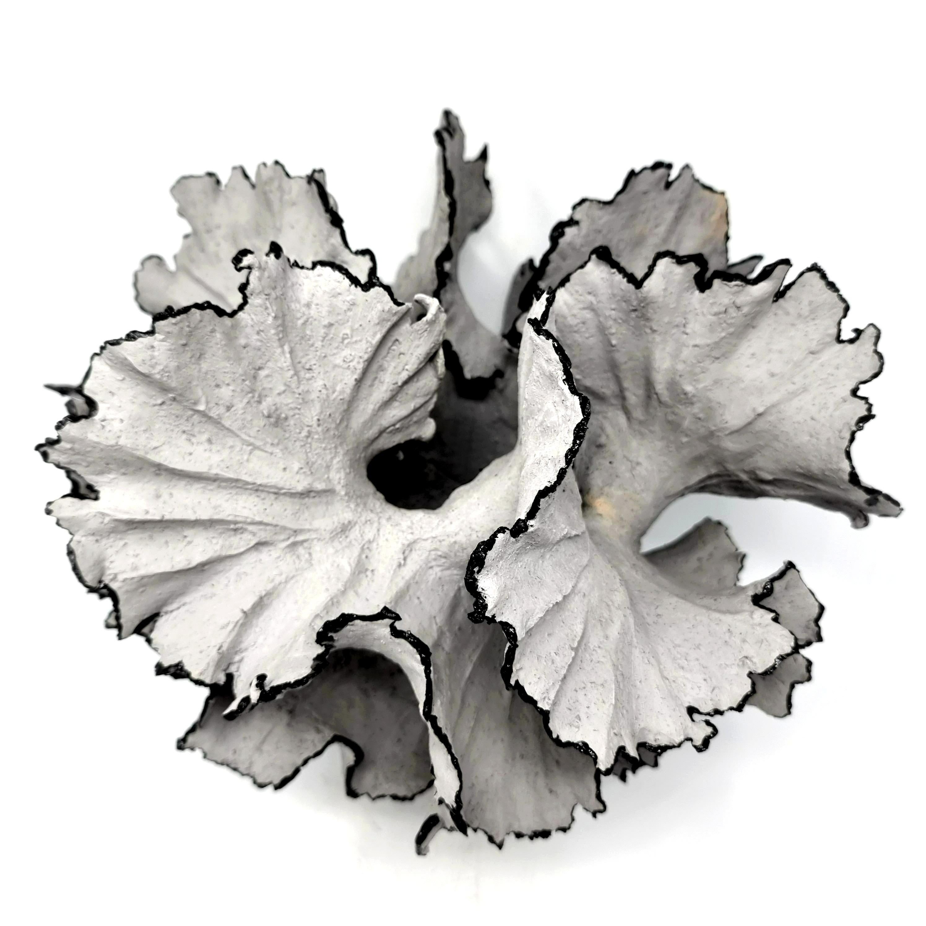 Handgefertigte Stonewear-Skulptur aus grauem Steingut-Ton. Die Edgaes sind mit schwarzer Porzellanfarbe gefärbt. 

Sie wird von Hand geformt, wobei langsam Windungen und Ton hinzugefügt werden, um das Endergebnis zu erzielen. Es handelt sich um ein