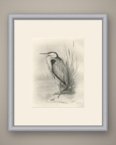 Grey Heron, Antique Bird Print after Lilian Medland, circa 1909
