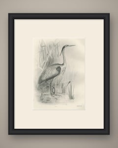 Grey Heron at the Water, Antique Bird Print after Lilian Medland, circa 1909