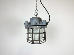 Grey Industrial Explosion Proof Lamp, 1960s