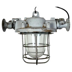 Graue Industrielle Explosion Proof-Lampe, 1980er-Jahre