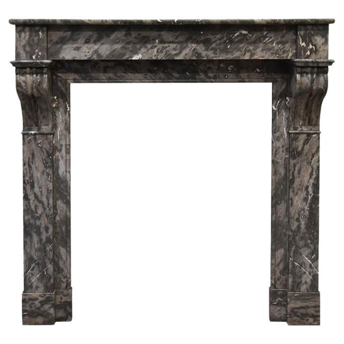 Grey marble fireplace mantel 19th Century For Sale