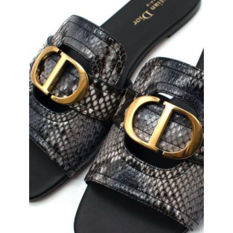 Grey python 30 Montaigne slides For Sale 4