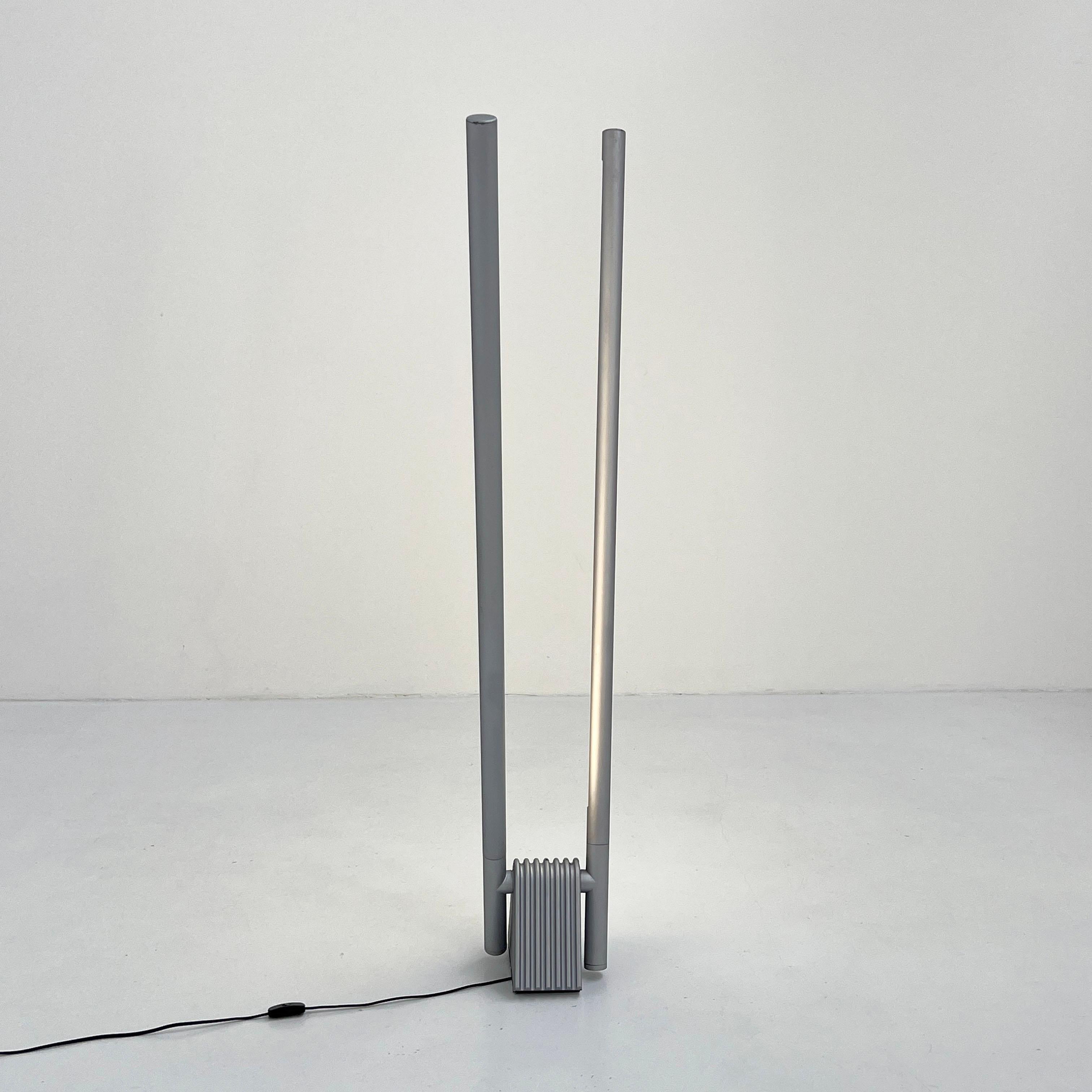 Grey Sistema Flu Floor Lamp by Rodolfo Bonetto for Luci Italia, 1980s For Sale 1