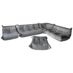 Grey Velvet Togo Sofa Set by Michel Ducaroy for Ligne Roset, Set of 5