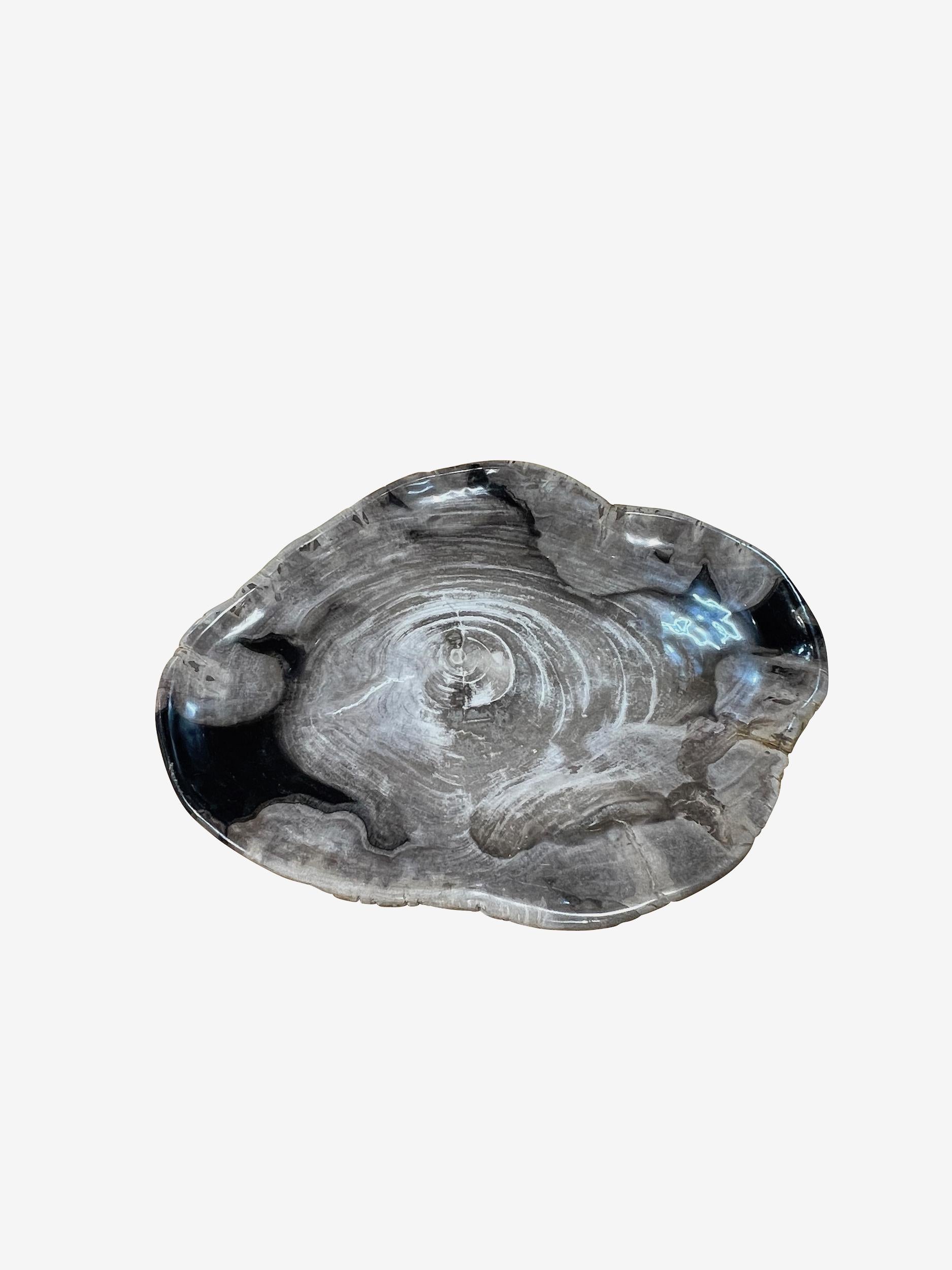 Grey with Black Petrified Wood Plate, Indonesia, Contemporary