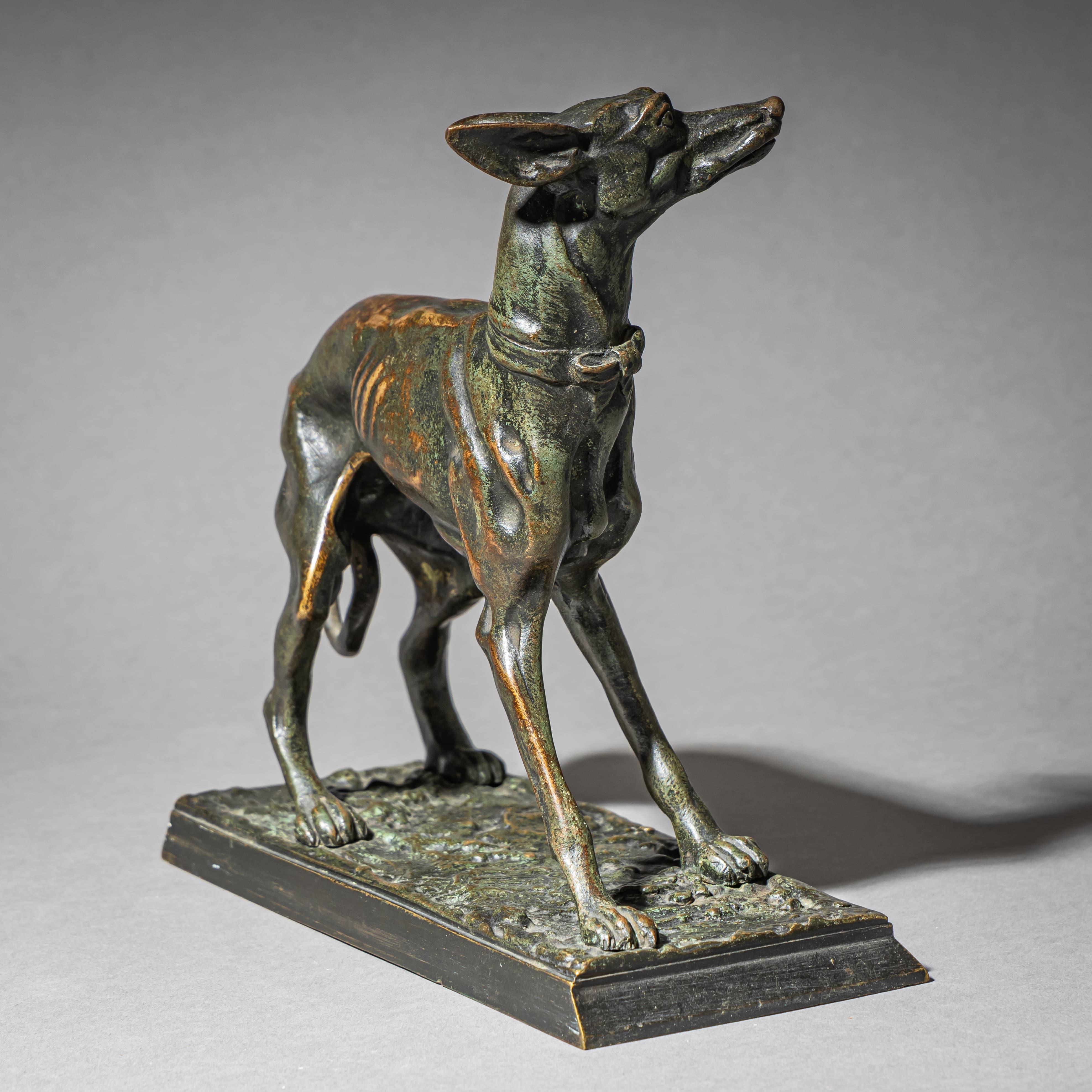 Francese Levriero in bronzo di Christophe Fratin (1801-1864) in vendita