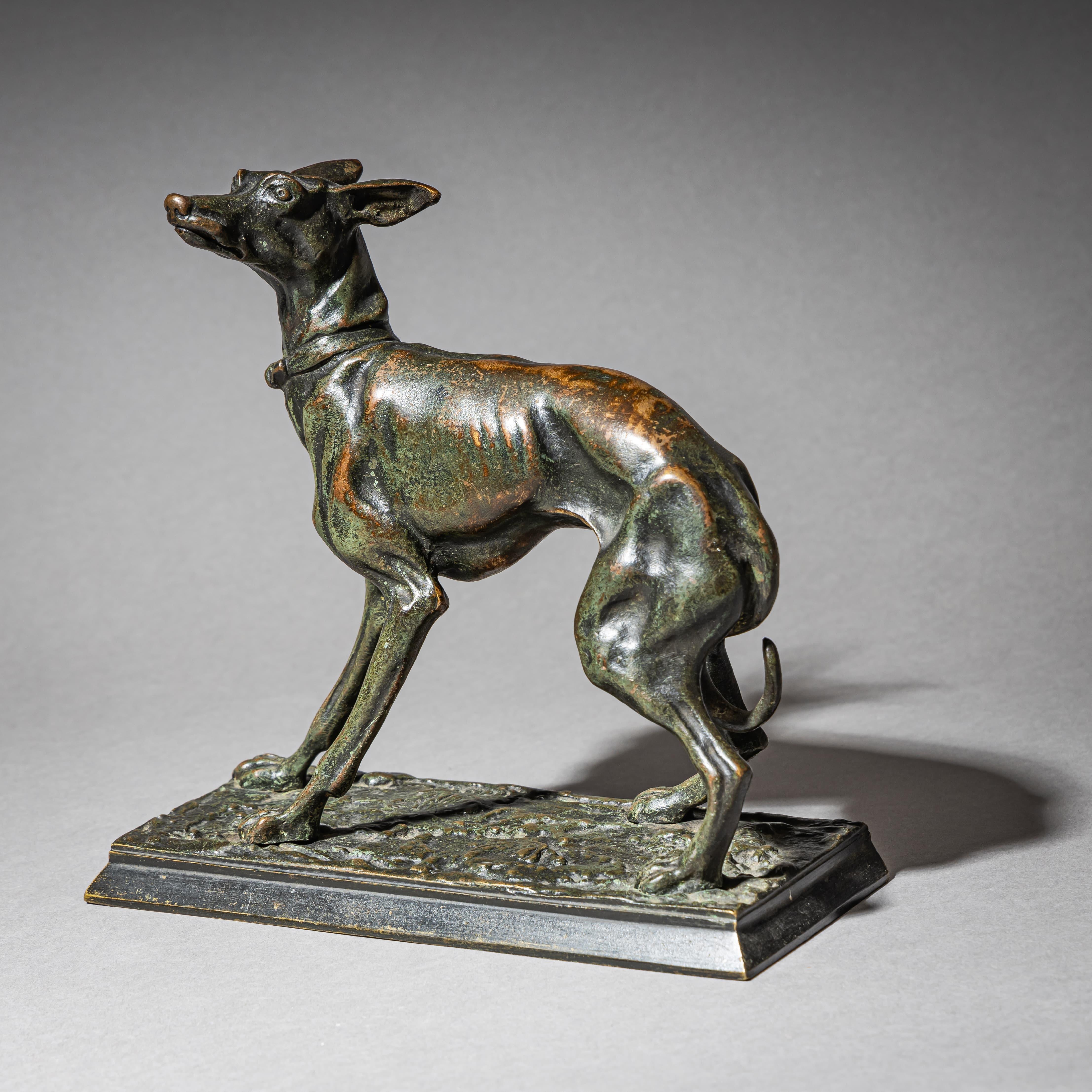 Levriero in bronzo di Christophe Fratin (1801-1864) In condizioni buone in vendita a Greding, DE