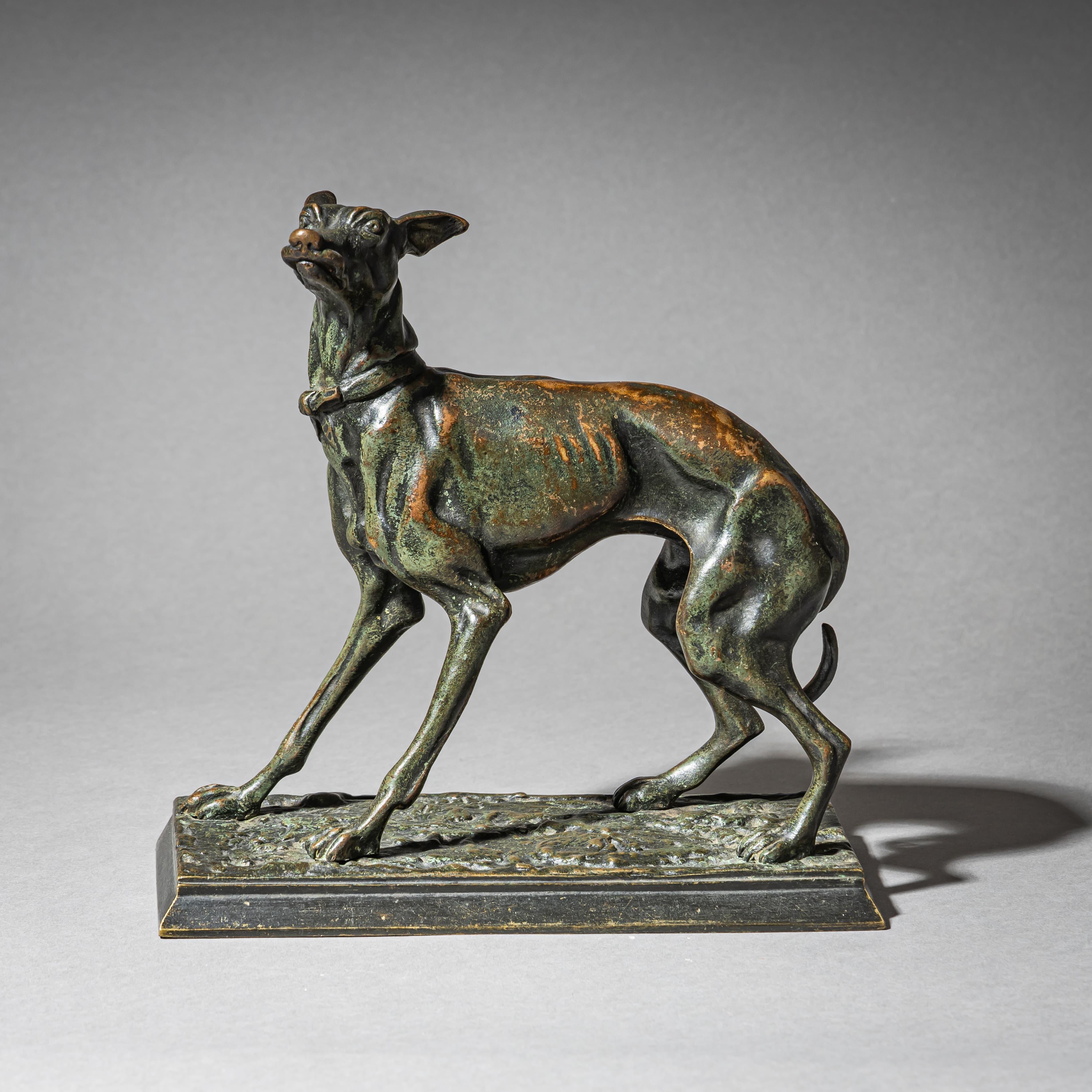 Bronzo Levriero in bronzo di Christophe Fratin (1801-1864) in vendita