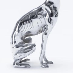 Greyhound