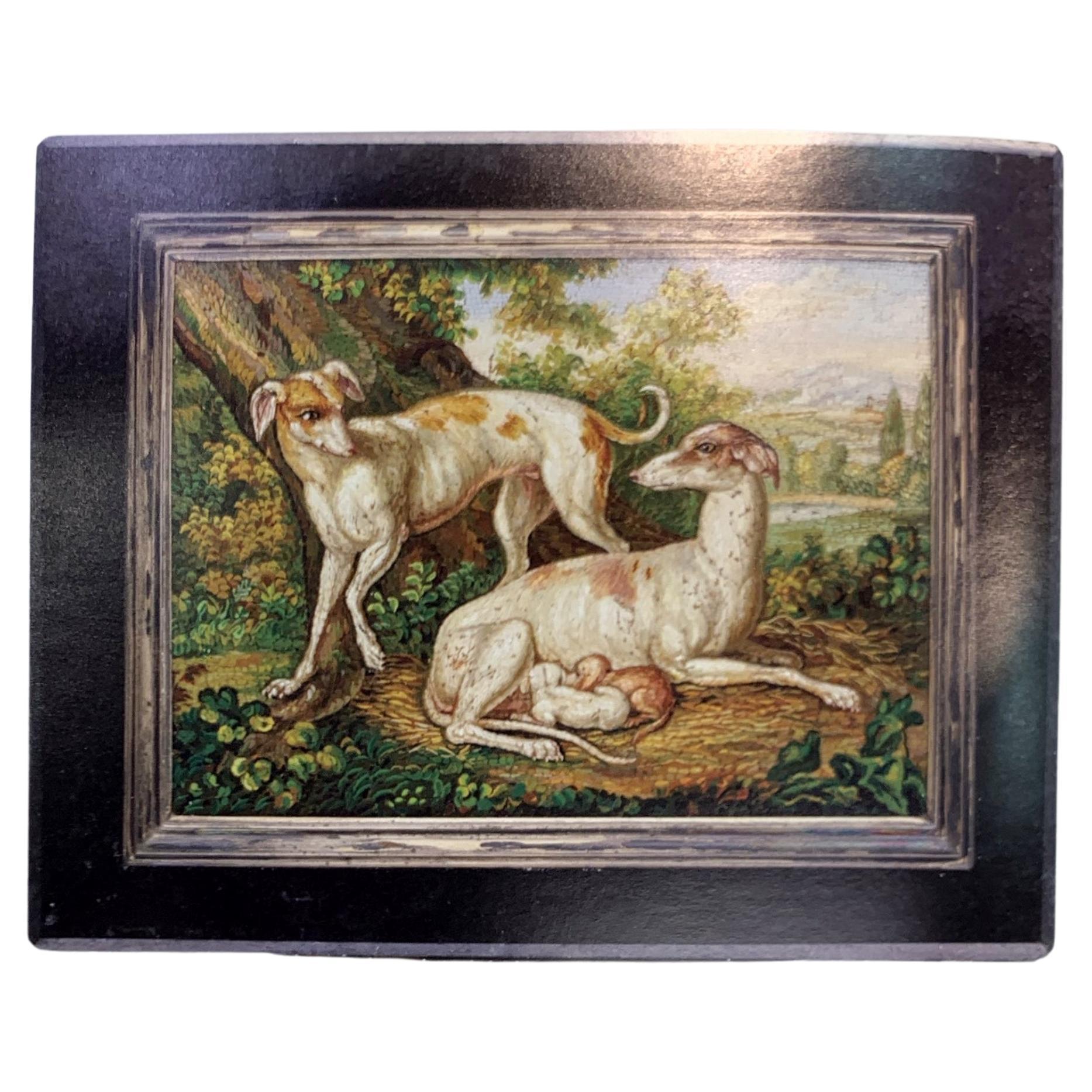Greyhound Micro Mosaic Snuff Box

A variegated hardstone snuffbox with a silver gilt framed micro mosaic of a family of greyhounds set in the lid. The micro mosaic is attributed to the late 18th century early artist Giacchino Barberi.

Measurements:
