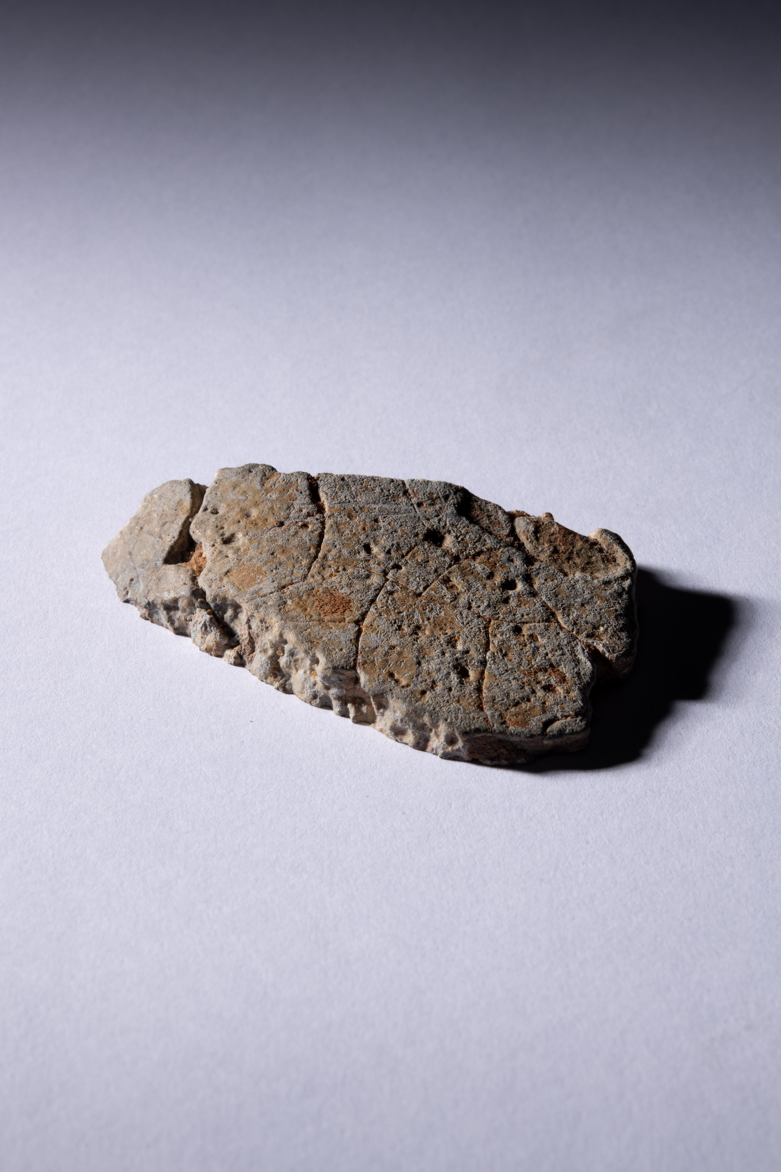 Graulich-weißes Mondmeteoritenfragment (Stein) im Angebot