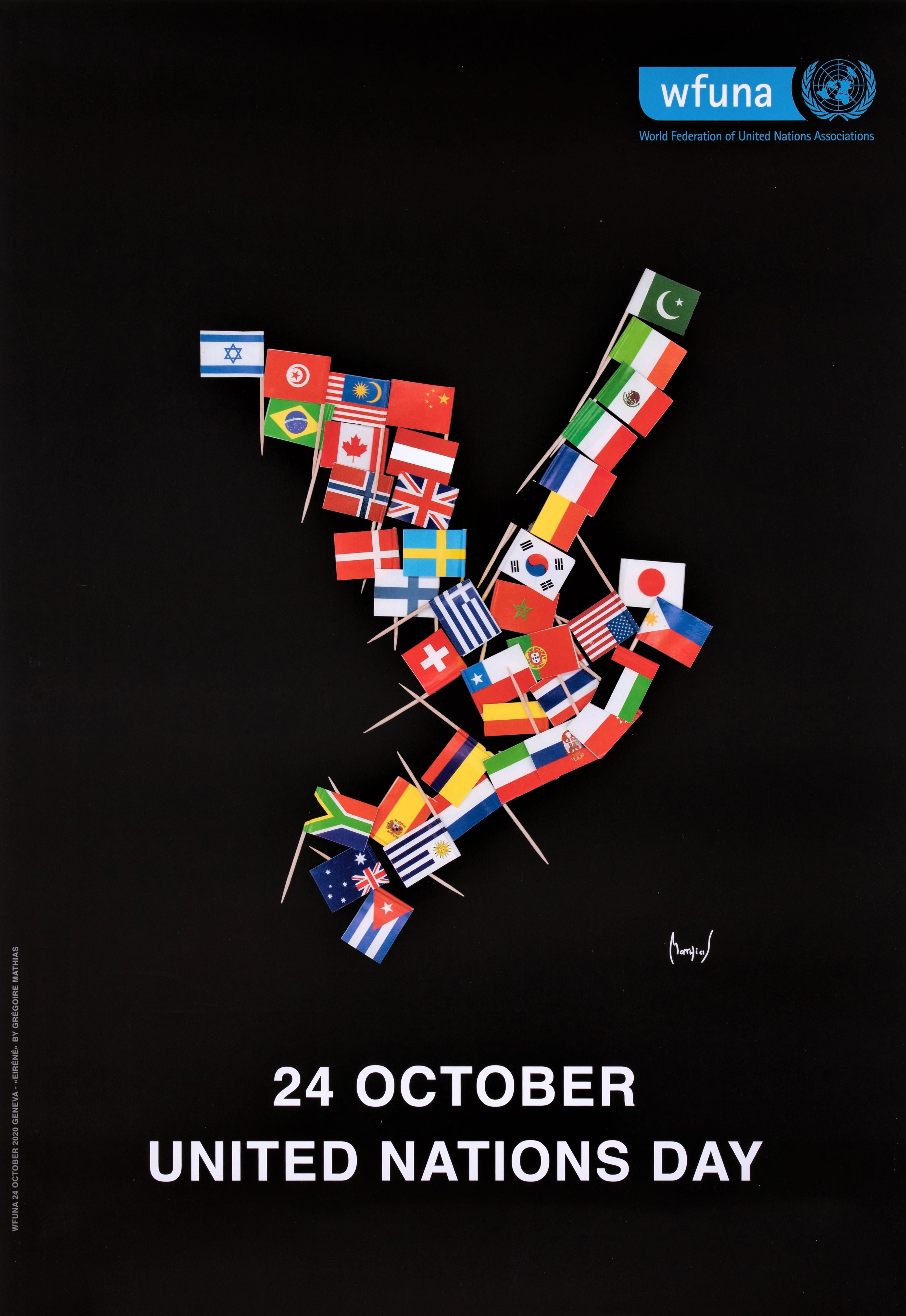 Grégoire Mathias Figurative Print - Original Poster United Nations 2020