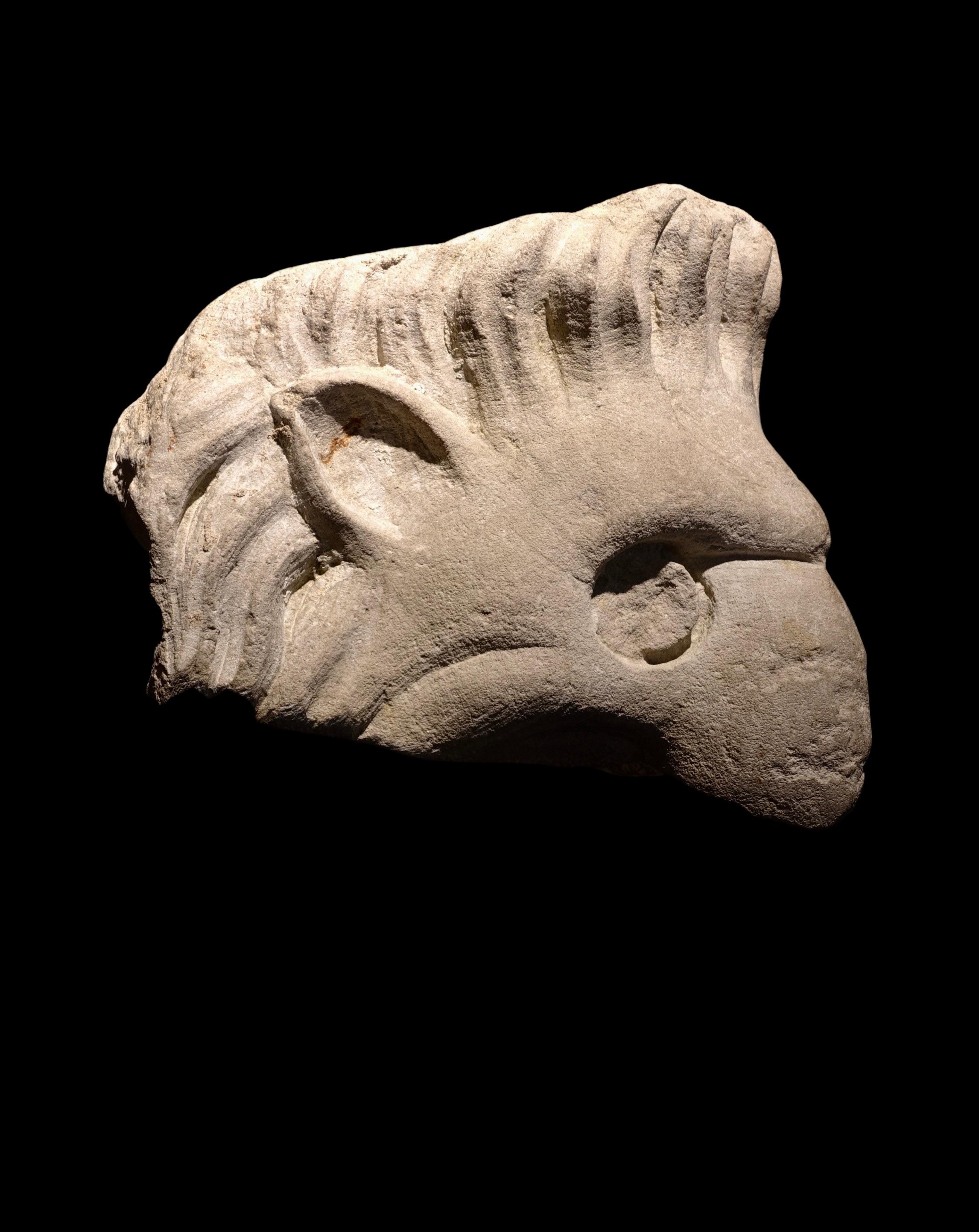 Renaissance Griffin Head, Italy, 16th Century For Sale