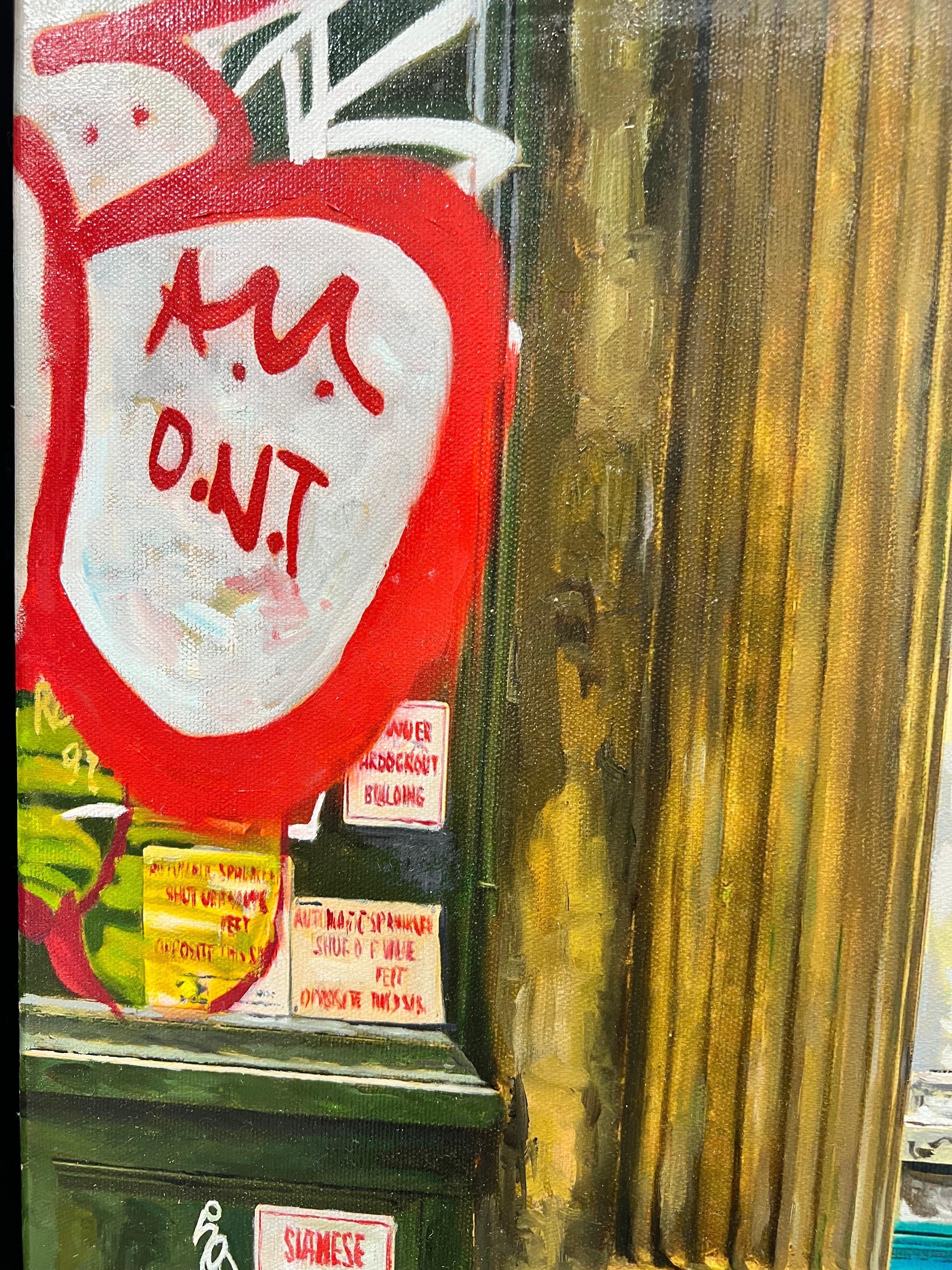 Rotura de graffiti en venta 1