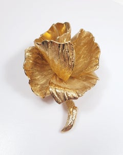 Broche grossé germany - France