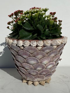 Grotto Sea Shell Planter