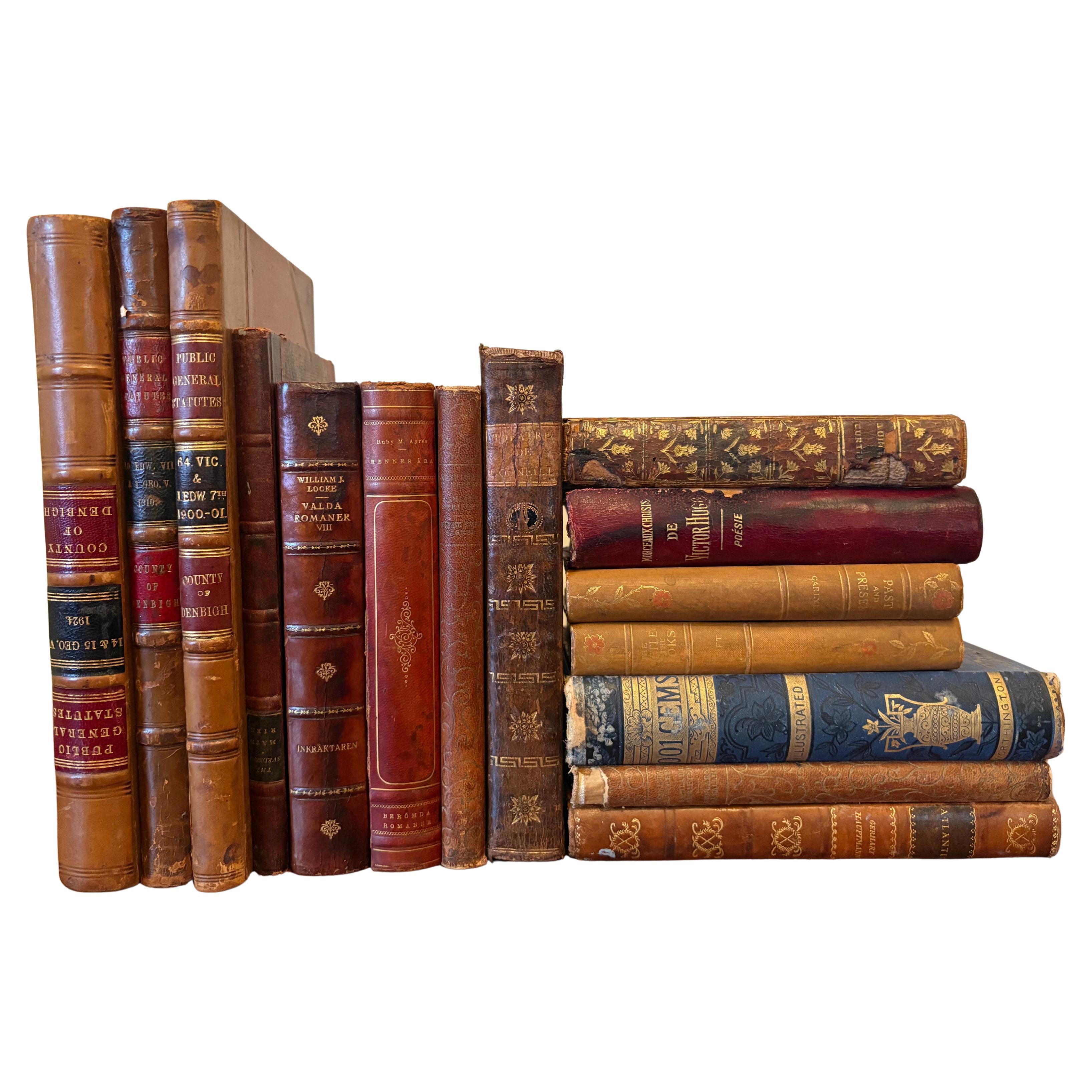 Group of 15 Assorted Leather or Marbled Bound Books, 19th Century