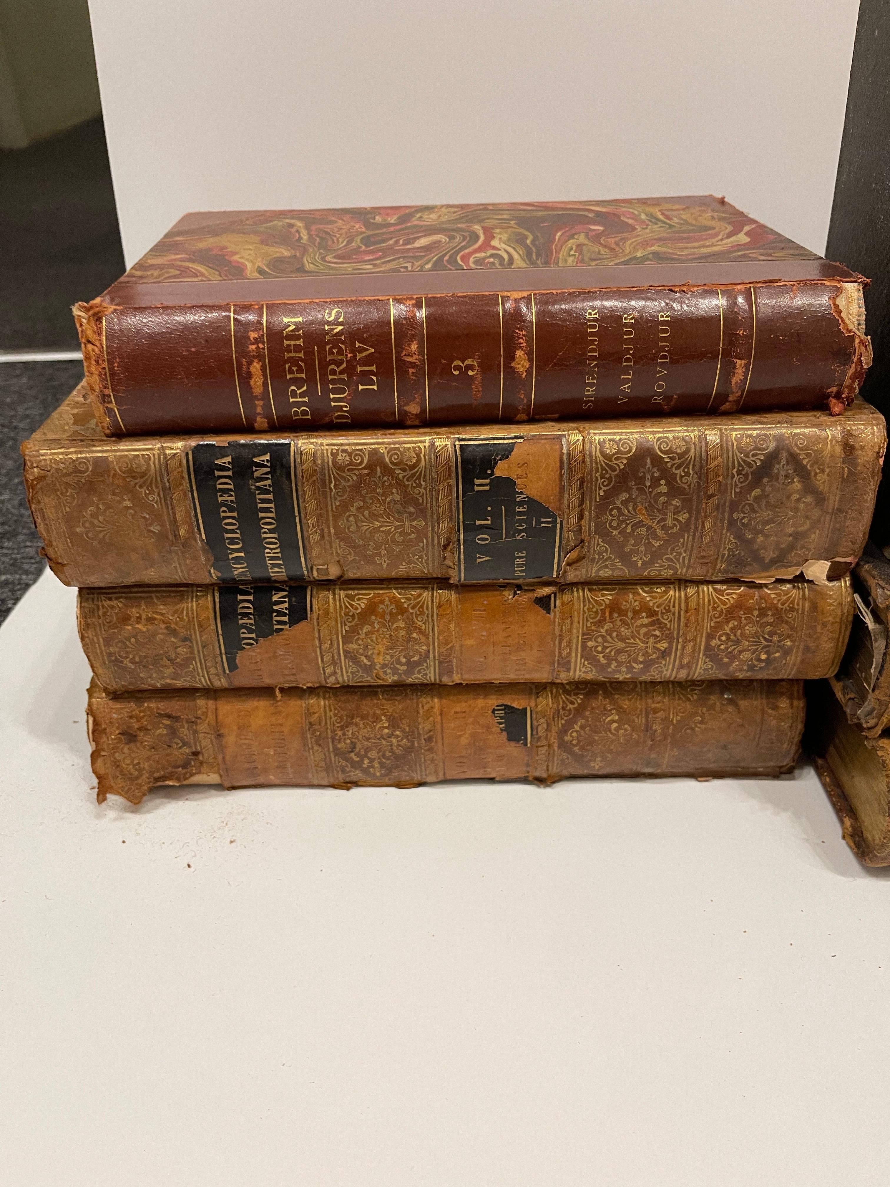 Groupe de 18 livres reliés en cuir ou en marbre, 19e siècle.  Les livres sont en différentes langues et tailles