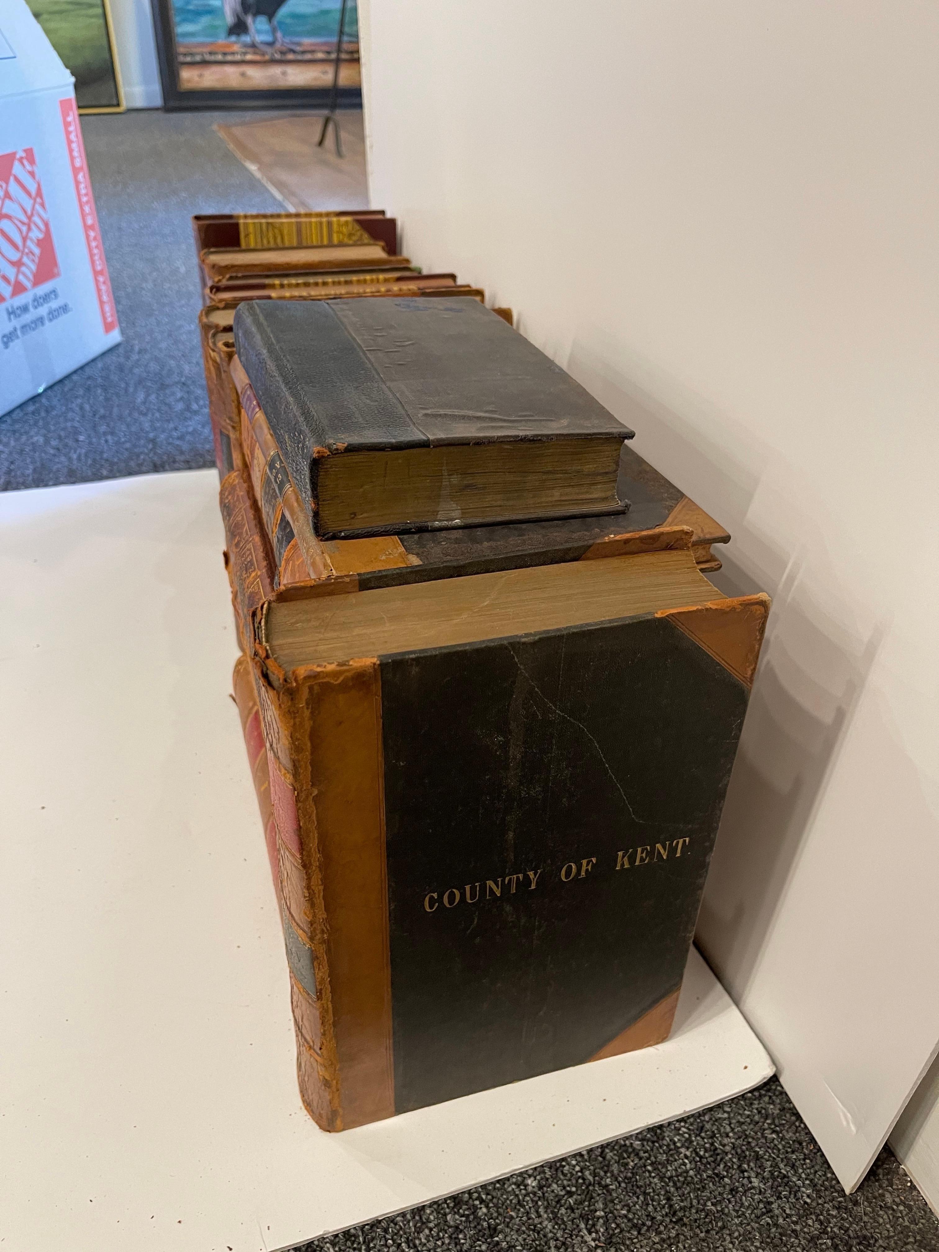Groupe de 18 livres reliés en cuir ou marbrés assortis, 19e siècle en vente 1