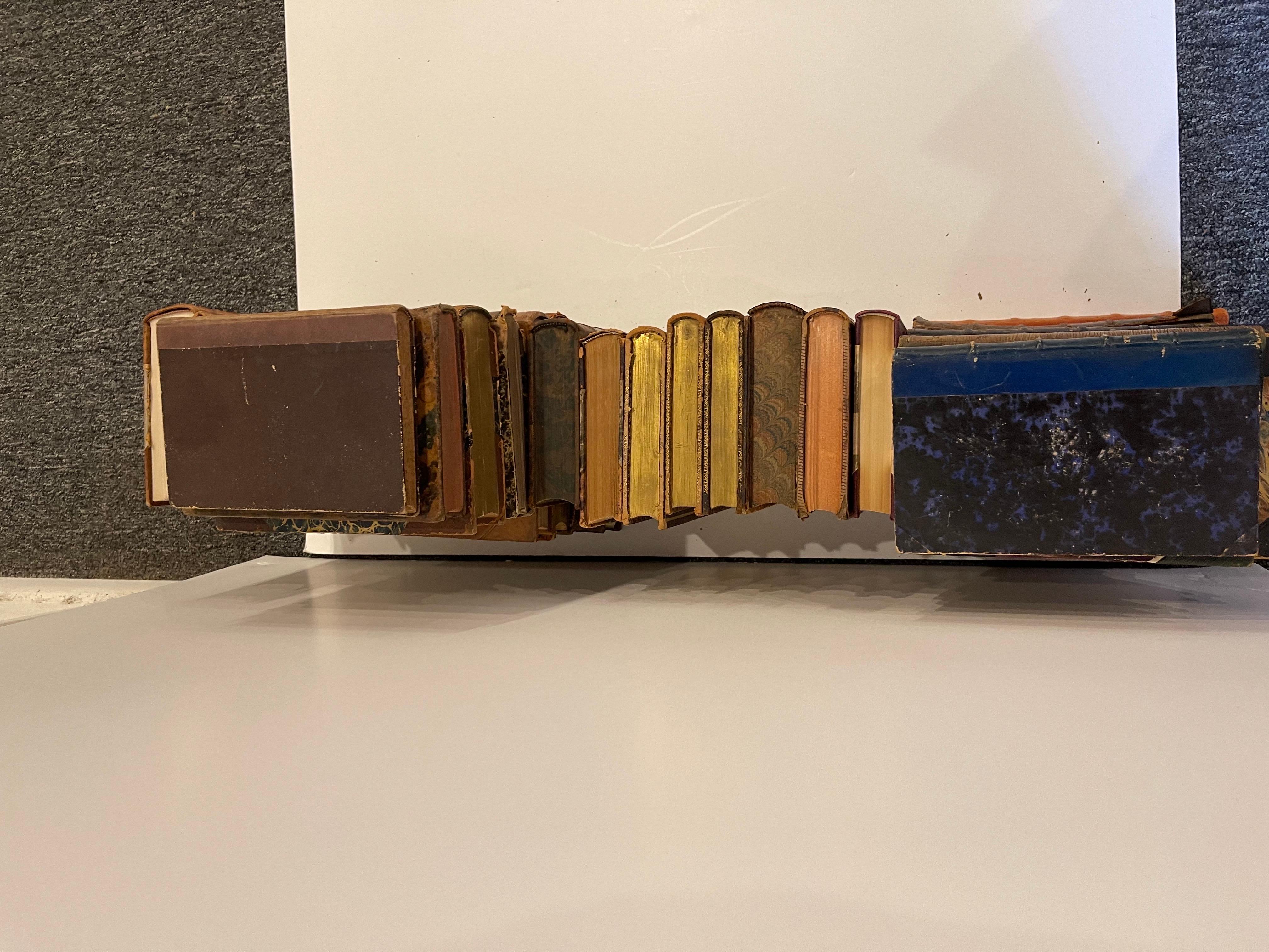 Groupe de 26 livres reliés en cuir ou marbrés assortis, 19e siècle en vente 1