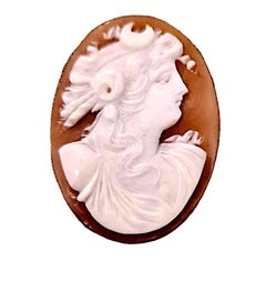 Group of 3 High Relief Cameos Carved from Bullmouth Shell