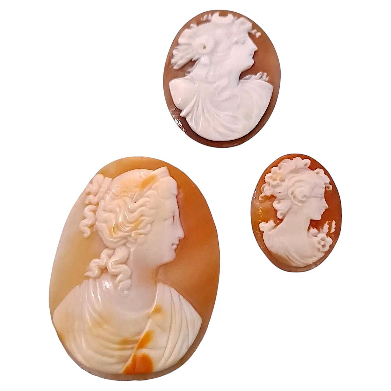 Groupe de 3 camées en haut-relief sculptés dans des coquilles de taurillons