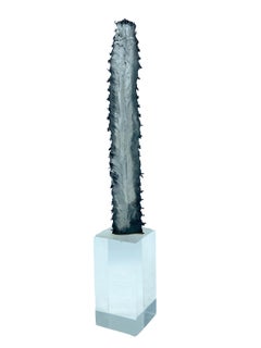 Groupe de 3 sculptures de cactus en argent sur socle en plexiglas, Italie, 1970
