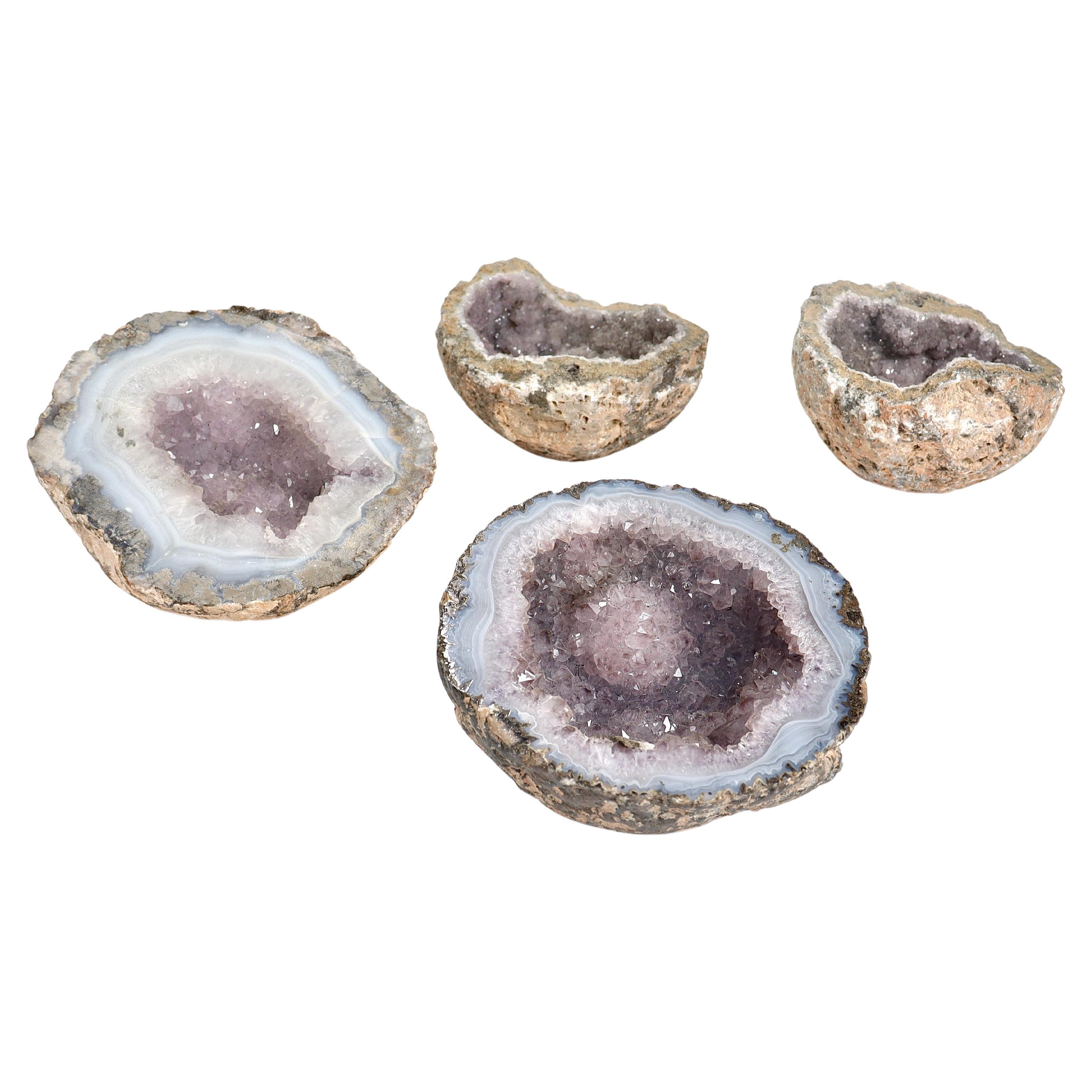 Gruppe von 4 Amethyst-Geoden