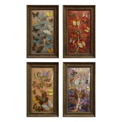 Vintage Group of 4 Collections of Brazilian Royal Butterflies in Taxidermy from the 70s