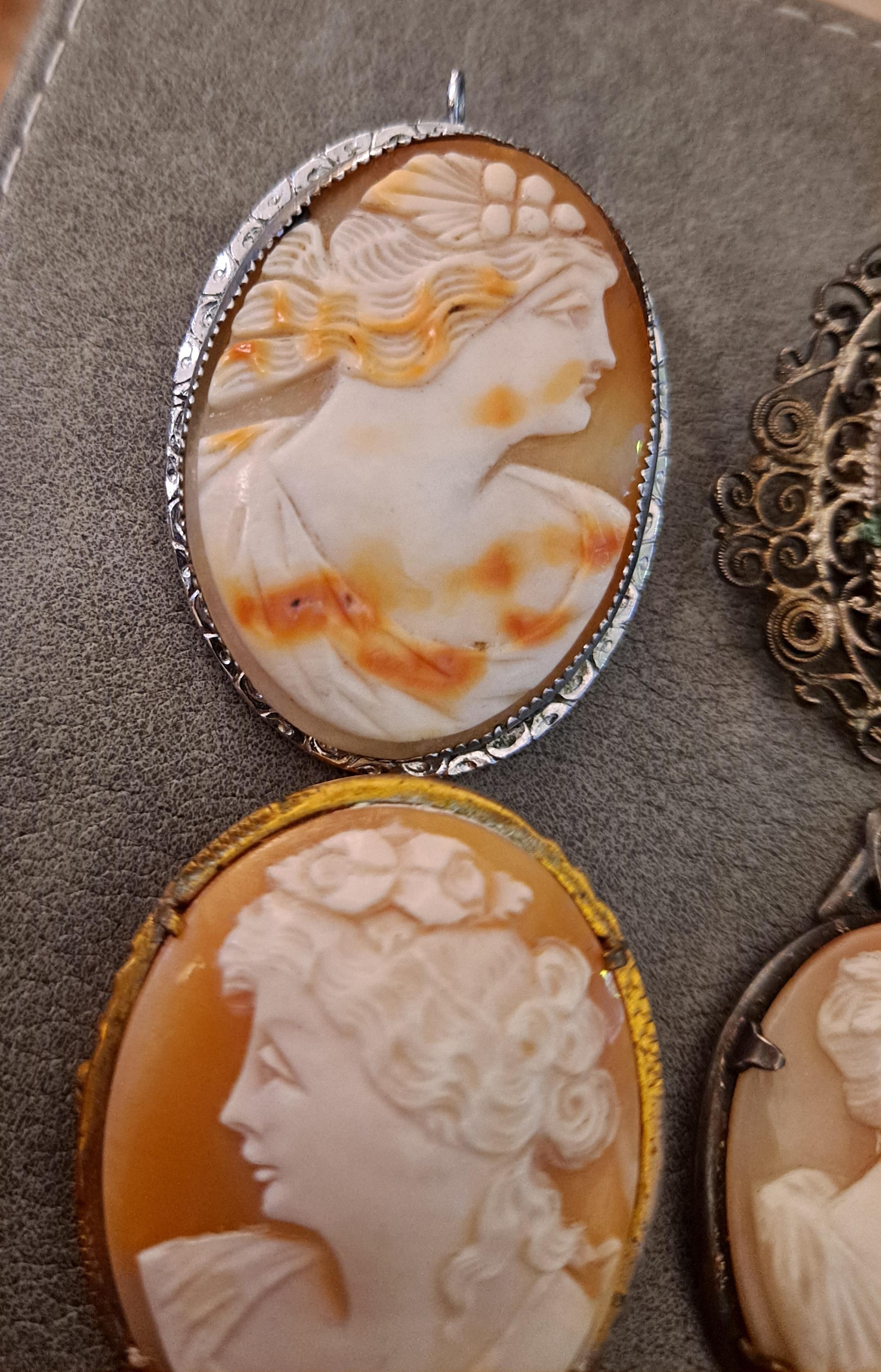 20th Century Group of 4 High Relief Cameo Pins/Pendents Carved from Bull Mouth Shell   For Sale