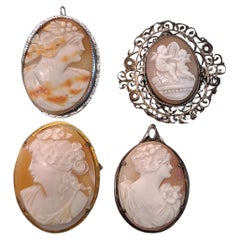 Group of 4 High Relief Cameo Pins/Pendents Carved from Bull Mouth Shell  