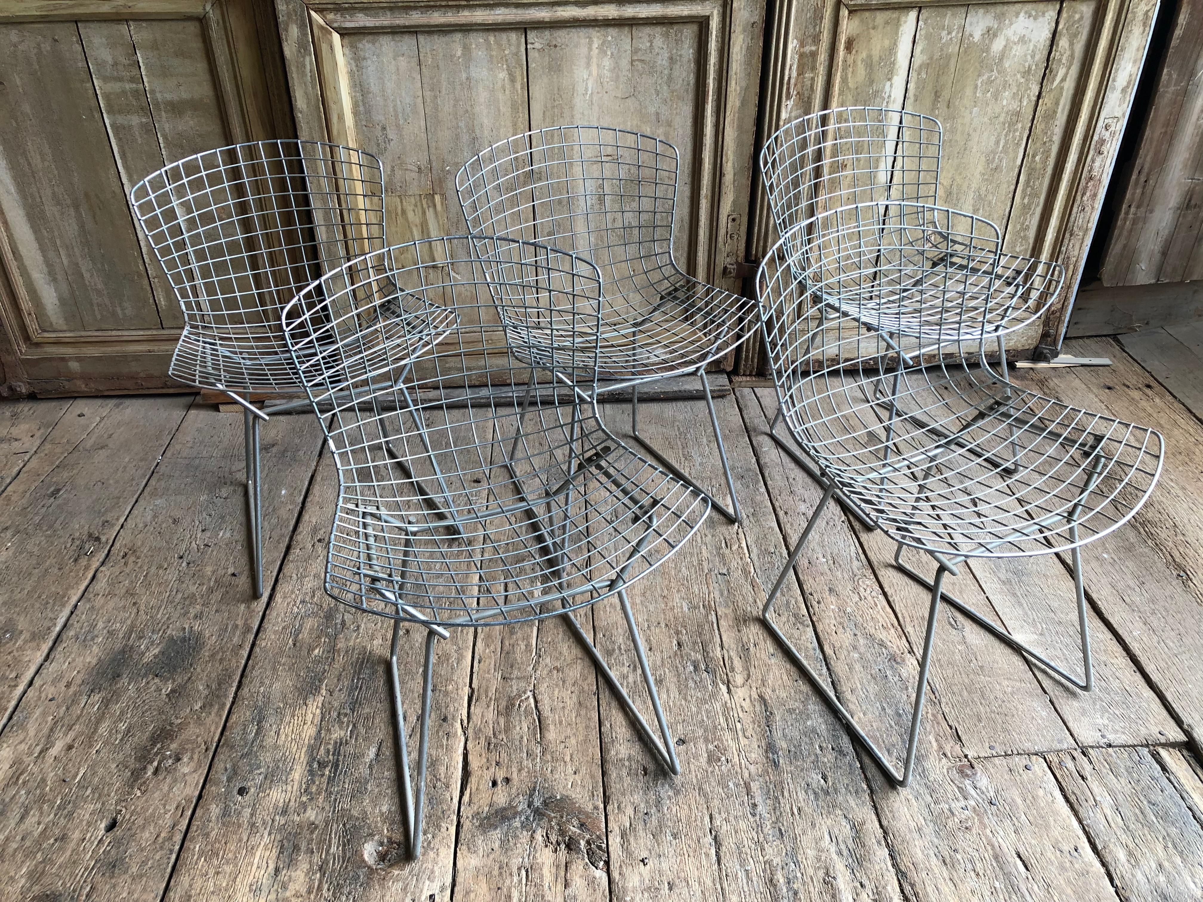 A set of 5 chromed steel side chairs by Harry Bertoia for Knoll, circa 1970.