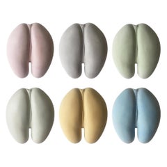 Group of 6 Handmade Coco de Mer Wall Mounts in Tinted Plaster